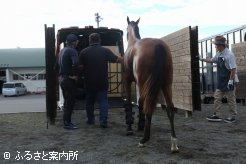 宮崎育成牧場行きの馬運車に乗り込んだ