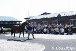 4年ぶりに開催された北海道馬産地見学ガイドツアー