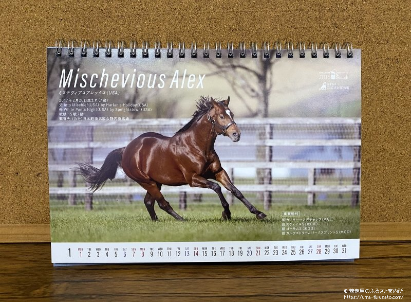 オリジナル卓上カレンダー『Stallion Calendar 2024』を1,000名様に
