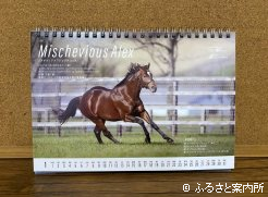 カレンダーの種牡馬写真面1