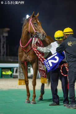 初代女王として名を刻んだヴィヴィアンエイト