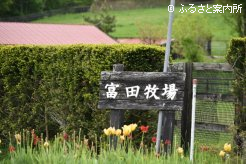 富田牧場の看板