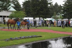 雨の中行われたコントレイル産駒の当歳馬展示