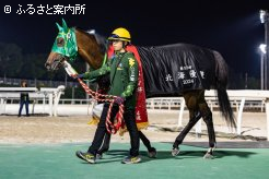 デビュー以来、最高馬体重で挑んだ大一番