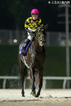 引き上げてくるポルラノーチェと落合騎手