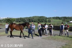 好天の元で審査は行われていった