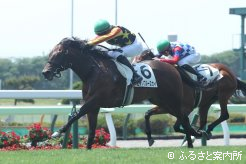 新馬勝ちしたヒデノブルースカイ