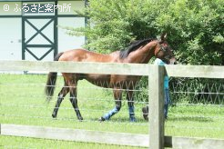 初めてのシャトル供用になるベンバトル