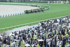 第1競走から大歓声がわき起こった札幌競馬場