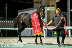 通算6つ目の勝ち星を3つめの重賞タイトルで飾った