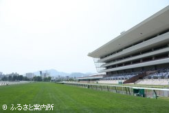 7月20日の開幕を待つ札幌競馬場