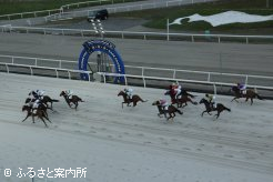 熱戦が続くホッカイドウ競馬