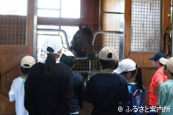 パンサラッサと対面する子どもたち