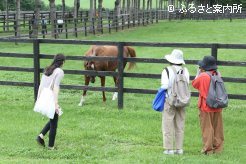 名馬との対面を楽しんだ