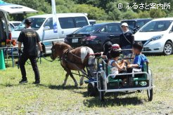 ポニー馬車は子どもたちに大人気