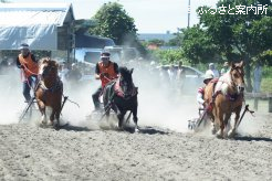 速さと力強さを競ったポニー輓馬大会