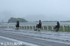 7人が参加した北海道地区決定戦