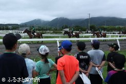 騎乗訓練を見学するうまキッズ探検隊