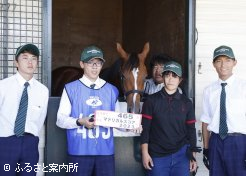 北海道静内農業高校生産馬「マドリガルスコア2023」は日本中央競馬会が購入した