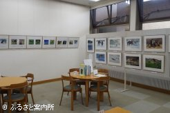 馬の豊かな表情をとらえた作品が展示されている