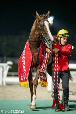 父カリフォルニアクロームにとっては国内初重賞勝利