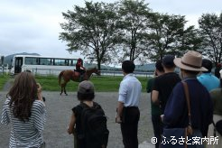 ツアーでは調教される育成馬と間近で遭遇する場面も