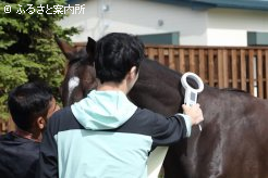 マイクロチップ検査で個体確認