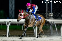 新種牡馬ステッペンウルフに大きなタイトルを届けたゼロアワー