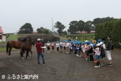 今年生まれた当歳馬と母馬の親子を見学