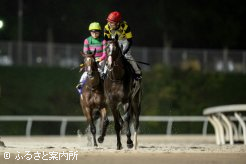 川島厩舎のワン・ツー・フィニッシュ(後ろはソルジャーフィルド)