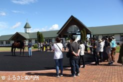 100頭以上の名馬と対面した北海道馬産地見学ガイドツアー