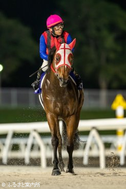 吉原騎手は2016年ピンクドッグウッドに続くフルールカップ2勝目