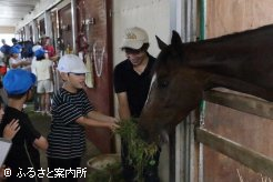 青草をあげて馬とのふれあいも楽しんだ