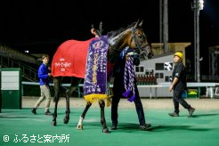 エンプレス杯(Jpn2)に続いてダートグレード競走2連勝