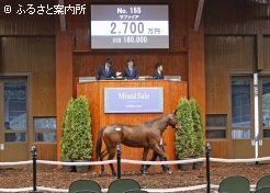 高額第3位は未供用の4歳馬サファイヤ