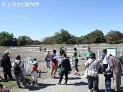 行列ができたポニー乗馬