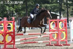 障害飛越競技の様子