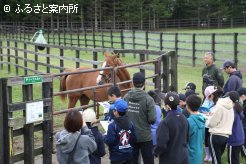 うまキッズ探検隊に興味津々なディープスカイ