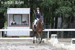 馬場馬術競技の様子