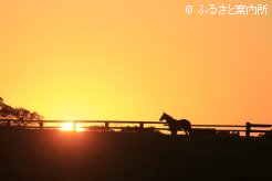 写真5 [夕日]