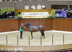 高額第2位で取引されたトラミナー