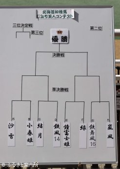 コンテストはトーナメント方式で行われた