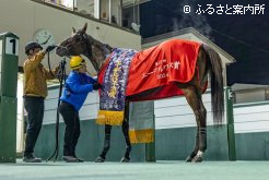 デビュー2戦目の重賞制覇となった