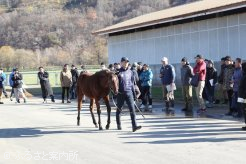 品評会には80人以上が参加した