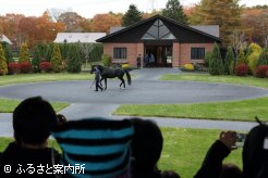 有名種牡馬がお披露目されたノーザンホースパークのバスツアー