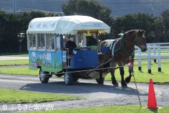 キタノダイナミック(ダイちゃん)による馬車運行