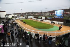 3,000人以上が来場したJBC競走当日の門別競馬場