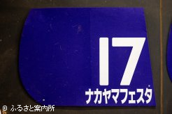 宝塚記念(G1)とセントライト記念(Jpn2)を勝ったラッキーナンバーは17