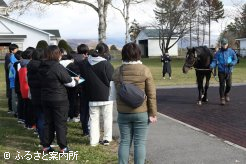 種牡馬について勉強した総合学習