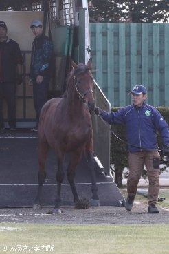 元気いっぱいな姿で新天地に到着した